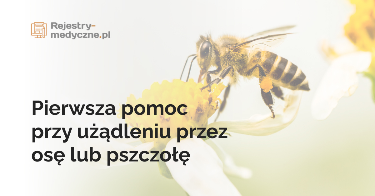 Pierwsza pomoc przy użądleniu przez osę lub pszczołę